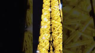 Eiffel Tower light show [upl. by Chaim506]