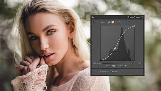 How to use the Tone Curve in Lightroom  Explained [upl. by Ennirac]