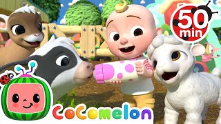 Old MacDonald Song  Baby Animals  More Nursery Rhymes amp Kids Songs  CoComelon [upl. by Lener]