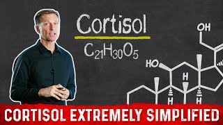 What is Cortisol and How Stress Causes Weight Gain – Dr Berg [upl. by Sonitnatsnok]