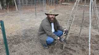 How To Build A Teepee Trellis [upl. by Bacon]