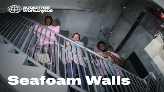 Seafoam Walls  Dependency  Audiotree Worldwide [upl. by Obelia967]