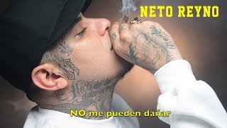 Neto Reyno  No Me Pueden Dañar Video Letra NR 20Conmigo [upl. by Acirderf]