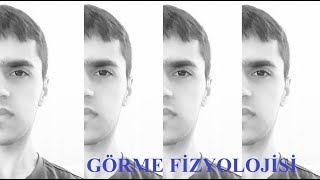 Görme Fizyolojisi [upl. by Katt]