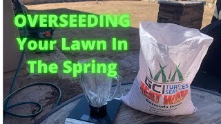 How To Overseed Your Lawn In Spring  2021 [upl. by Suoicerpal]