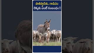 పాకిస్థాన్​​కు గాడిదల లెక్కకు ఏంటీ సంబంధంRole of Donkeys in Pakistans Economic Growth [upl. by Lalage]