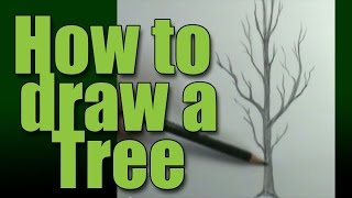 How to draw a tree [upl. by Wiley]