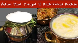 வெள்ளை பொங்கல் amp கத்திரிக்காய் கொத்சு Vellai Paal pongal amp kathirkkai kothsu  Jo Kitchen [upl. by Dela]