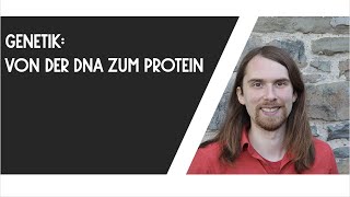 Genetik  Von der DNA zum Protein [upl. by Lakym]