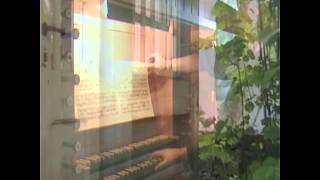 j s bach toccata f dur bwv540 [upl. by Alane]