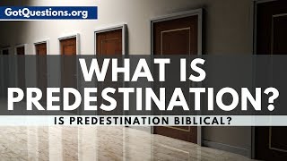 What is Predestination  Predestination in the Bible  GotQuestionsorg [upl. by Alic]