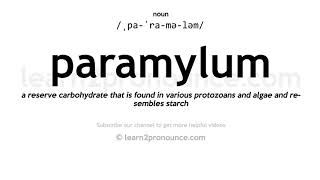 Pronunciation of Paramylum  Definition of Paramylum [upl. by Columbine]