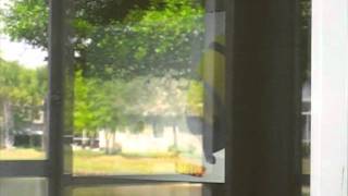 Anti Glare Film for Glass and Storefront Windows  Glare Fi [upl. by Younglove]