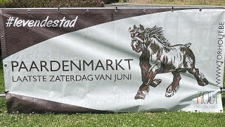 Paardenmarkt Torhout 2023 [upl. by Stew]