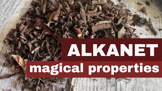 Alkanet Magical Properties [upl. by Forrer]