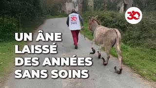 Cet âne a été laissé seul de longues années [upl. by Jonas]