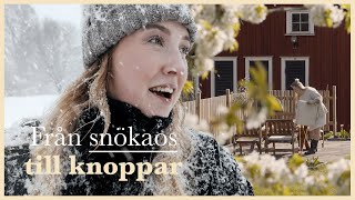 04 Från snökaos till knoppar amp nytt second handskåp [upl. by Assinna]