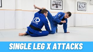 Attacking from Single Leg X [upl. by Abel]