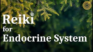 Reiki Energy for Hormones  Endocrine System w528hz Frequency  Energy Healing Session [upl. by Yelloh]