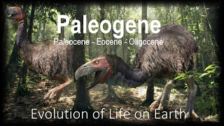 The Evolution of Life part 11  Paleogene [upl. by Diahann]