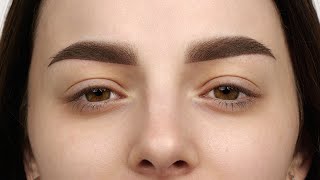 Ombre Brows  overview of the procedure  steps by step [upl. by Gianina780]