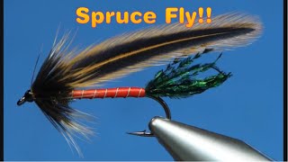 Spruce Fly Pattern [upl. by Hanleigh252]