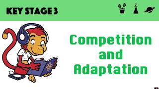 Competition and Adaptation [upl. by Weidar]