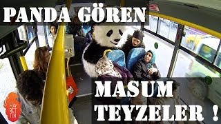 Panda gören masum teyzeler [upl. by Ayhtak]