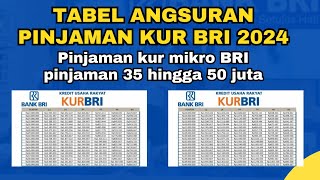 Cara Pinjam Uang Di KUR BRI Terbaru 2024  Syarat Pinjam Uang Di KUR BRI 2024 [upl. by Lesli]