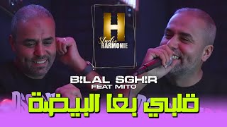 Bilal Sghir 2024 Galbi Bgha El Bayda 100liveڨلبي بغى البيضاء [upl. by Mae]