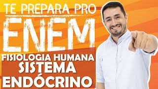 FISIOLOGIA HUMANA  SISTEMA ENDÓCRINO  CANALDOHENAC [upl. by Acirretahs]