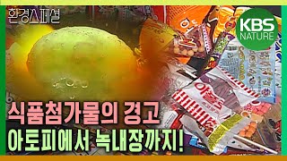 아토피에서 녹내장까지 식품첨가물 과연 안전한가 환경스페셜식품첨가물의 경고  KBS 20050413 방송 [upl. by Carmina639]