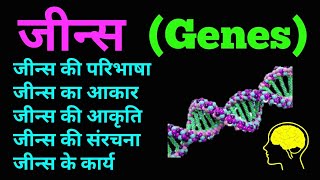 जीन  जीन्स की स्थिति आकार संरचना और कार्य  Status Structure and function of Genes  hindi [upl. by Drusi598]