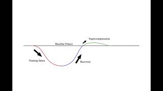 General Adaptation Syndrome GAS [upl. by Adnalro]