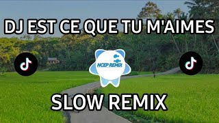 DJ EST CE QUE TU MAIMES REMIX SLOW TERBARU 2024 [upl. by Parsifal]