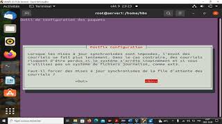 Installation et configuration dun serveur de messagerie postfix sur Ubuntu 20 [upl. by Nabal]