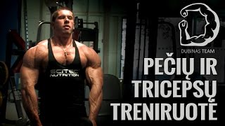 Peciu ir Tricepso treniruote  FULL workout 2016 [upl. by Eri]