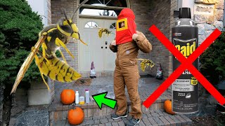 ✅ How To Get Yellow Jackets amp Wasps Out of House Siding Without Getting Stung [upl. by Sualokin]