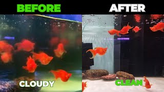 Cloudy Fish Tank Water and How to Fix It Aquascaping Tutorial [upl. by Evol864]