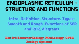 Endoplasmic Reticulum  Structure and Function Bsc3rd Semester Msc 2nd Semester zoology csirnet [upl. by Eadrahs]