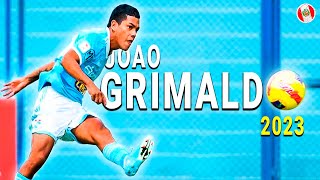 Joao Grimaldo mostrando su CALIDAD  Mejores Jugadas ● 2023ᴴᴰ [upl. by Alyakem]