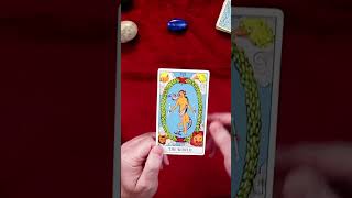 Your Daily Tarot Card Reading  Unlock Your Potential Today tarot tarotreading short [upl. by Manlove286]