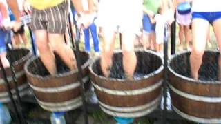 Lakeridge Winery Grape Stomping Competition [upl. by Ellevart941]