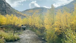 Colorado Fall adventure  Overlanding  Medano Pass  Stock 4Runner [upl. by Baumann831]