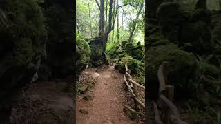 Puzzlewood Gloucestershire Forest of Dean Uk [upl. by Lime539]