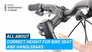 Correct Height For Bike Seat and Handlebars [upl. by Dulcie]