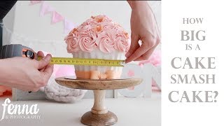 How big is a cake smash cake for a cake smash photoshoot Size Decor and Behind the Scenes [upl. by Lorrayne]