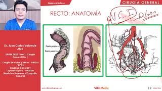 CIRUGÍA  Cáncer Colorrectal  ENAM 2020 [upl. by Seravart821]