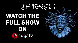 Shpongle Live Red Rocks Colorado 5419 Show Opener [upl. by Adihsar]