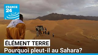 Il pleut au Sahara  Une conséquence du réchauffement climatique • FRANCE 24 [upl. by Anaeerb308]